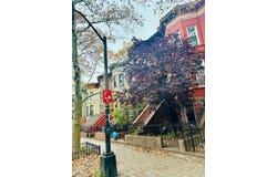 1073 Prospect Place, Brooklyn, NY 11213