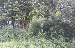 200 E Lime, Ironwood, MI 49938