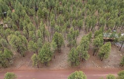 7418 E Robin Hood Road, Williams, AZ 86046