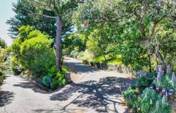 2307 Spanish Trail Road, Tiburon, CA 94920