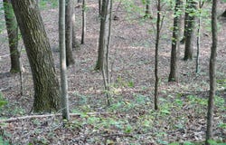4100 KY-511, Corbin, KY 40701