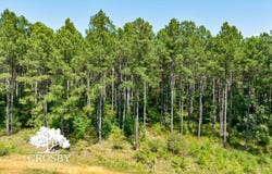 TBD Jabez Poyner Road, Carlton, GA 30627