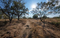 Fredonia, TX 76842