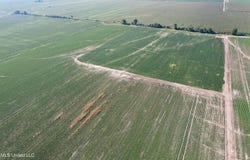 Farrell Road, Clarksdale, MS 38614