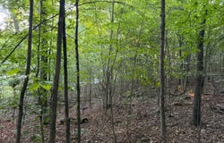 Henley Deemer Rd, Mcdermott, OH 45652
