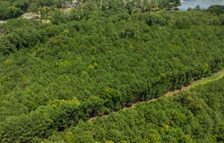 Lot 202 Peninsula Drive, Prosperity, SC 29127