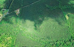 Parcel 1 Highway 63 N, Goodwater, AL 35072