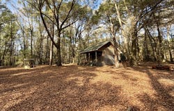 0 County Road 72, Ariton, AL 36311