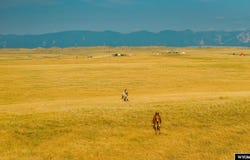 32 Wallows Creek Parcel 2, Buffalo, WY 82834-0000