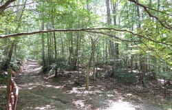 Peach Bottom Road lot: 0, Independence, VA 24348