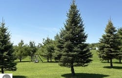 900 Providence Way, West Branch, MI 48661