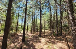 2  TBD Poteau Mountain, Heavener, OK 74937