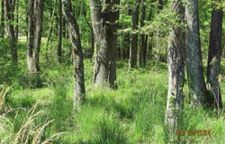 0 Campground Rd, Cabot, AR 72023