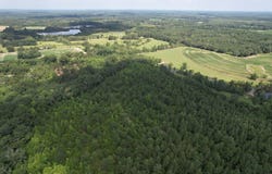 0 County Road 4, Hartford, AL 36344