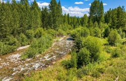 11680 North Fork Road, Polebridge, MT 59928