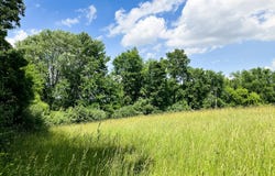 9250 Vincent Avenue SE, Alto, MI 49302