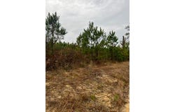 0 Rafting Creek Twns, Rembert, SC 29128