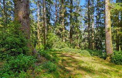 83553 JENSEN Ln, Florence, OR 97439