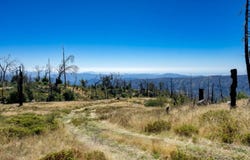 11111 Lower Cressman Road, Shaver Lake, CA 93664