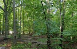 131 BRICK CHURCH ROAD, DAVIDSONVILLE, MD 21035