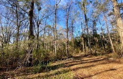 Morgantown Road, McComb, MS 39648