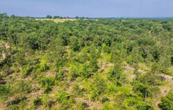Tract 2 Harmony Mountain Road, Clinton, AR 72031