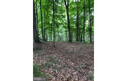 TIMBER RIDGE, BERKELEY SPRINGS, WV 25411