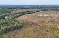 Luther Ingle Road, Ramer, TN 38367