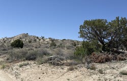 Xx CEMETERY Road, Bloomfield, NM 87413