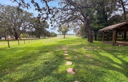 8042 COUNTY LINE Road, Melrose, FL 32666