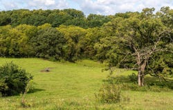 2542 County Road P, Verona, WI 53593