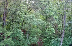 0 Highway 156, South Pittsburg, TN 37380