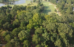 Annandale Drive, Madison, MS 39110