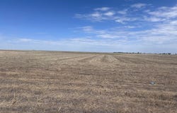 FM  2587, Wildorado, TX 79098