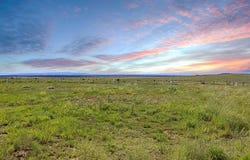 735 Wagon Mound Hwy 120, Other - Not in list, NM 87743