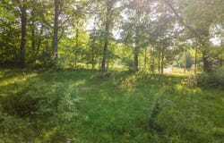 16199 W Clear Lake Road, Buchanan, MI 49107