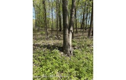 120 Floyd Ackert Road, West Park, NY 12493