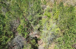 00 Dykestown Rd, Jay, FL 32565