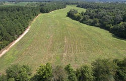 0 County Road 4, Hartford, AL 36344