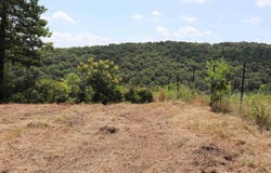 610 River Vista Dr, Mountain View, AR 72560