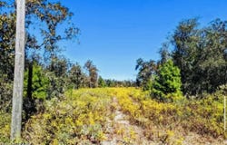 6830 NW Porter Grade Road, Altha, FL 32421
