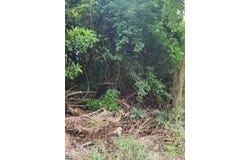 70 Sion Farm QU, St. Croix, VI 00820
