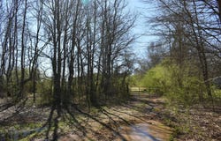 4498 Highway 371 North, Waldo, AR 71770