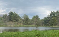 6281 E Hill Road, Caneadea, NY 14717