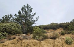 Edgewood Drive, Julian, CA 92036