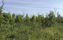 Gristmill Road, Baraga, MI 49908