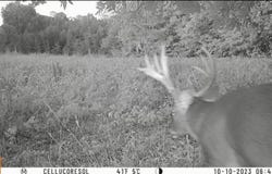 000 State Route 295 North, Kuttawa, KY 42055
