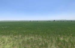 TBD Lower Spring Creek Road, Hermosa, SD 57744