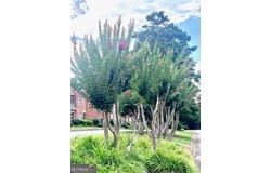 306 Georgetown, Athens, GA 30605
