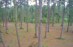 005 Carpenter St., Jena, LA 71342